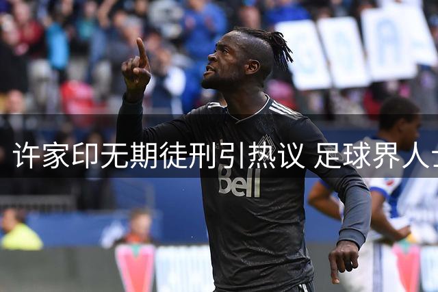许家印无期徒刑引热议 足球界人士称中国足球同样遭殃